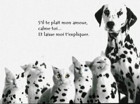 voil&agrave; ce que c 'est de tromper sa meuf,lol